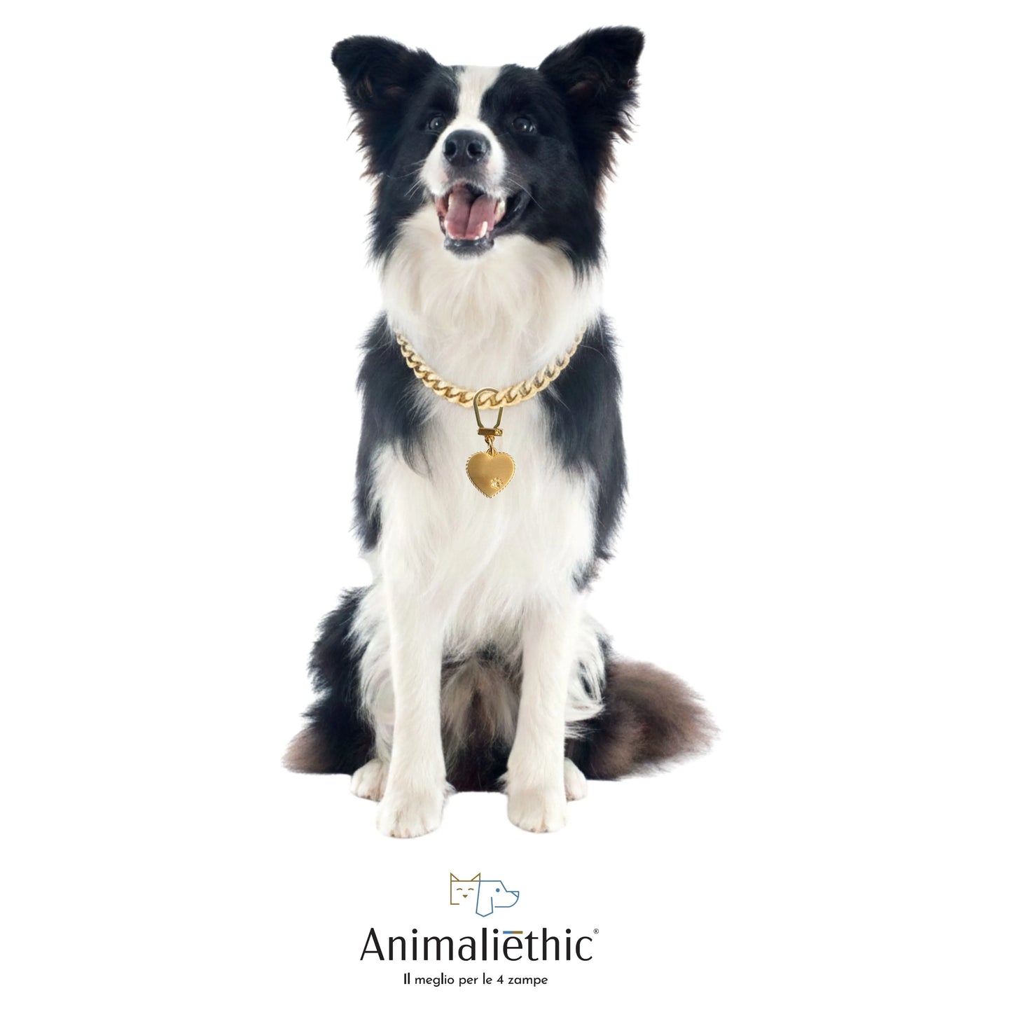 medaglietta per cani in argento placcato oro satinato cuore