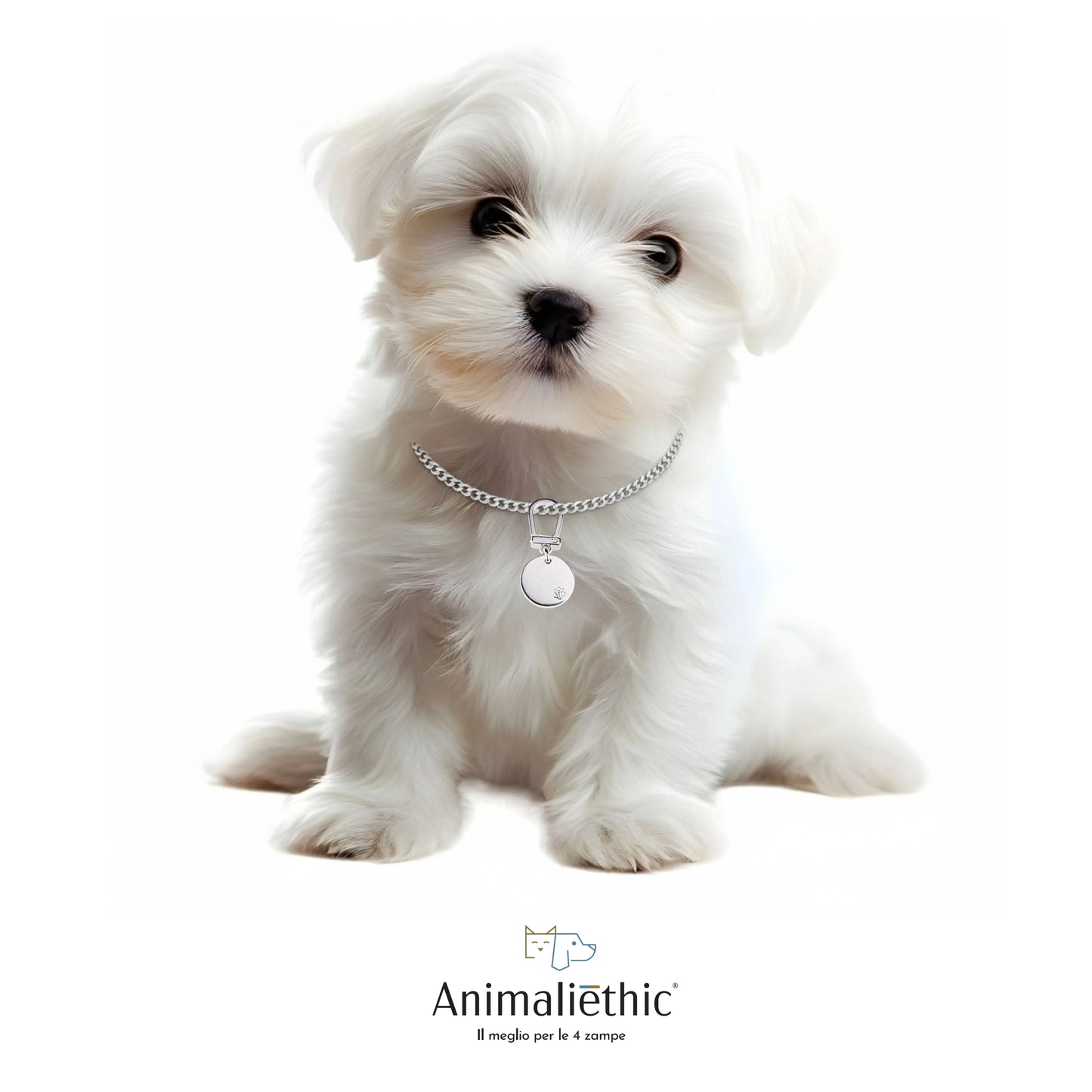 medaglietta per cani in argento forma di cerchio