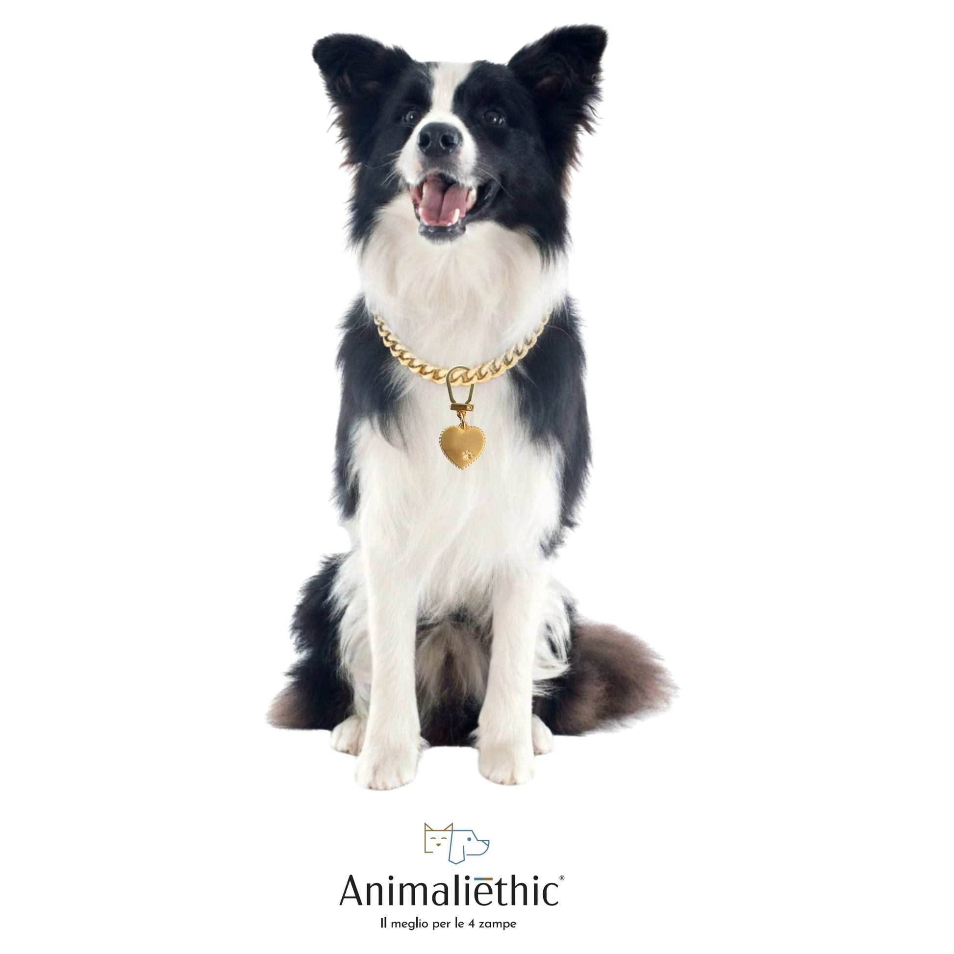 medaglietta per cani in argento placcato oro satinato cuore