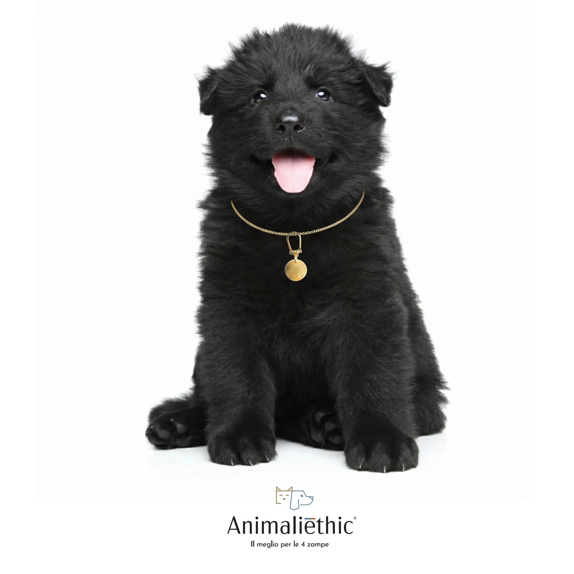 medaglietta per cani in oro satinato forma cerchio