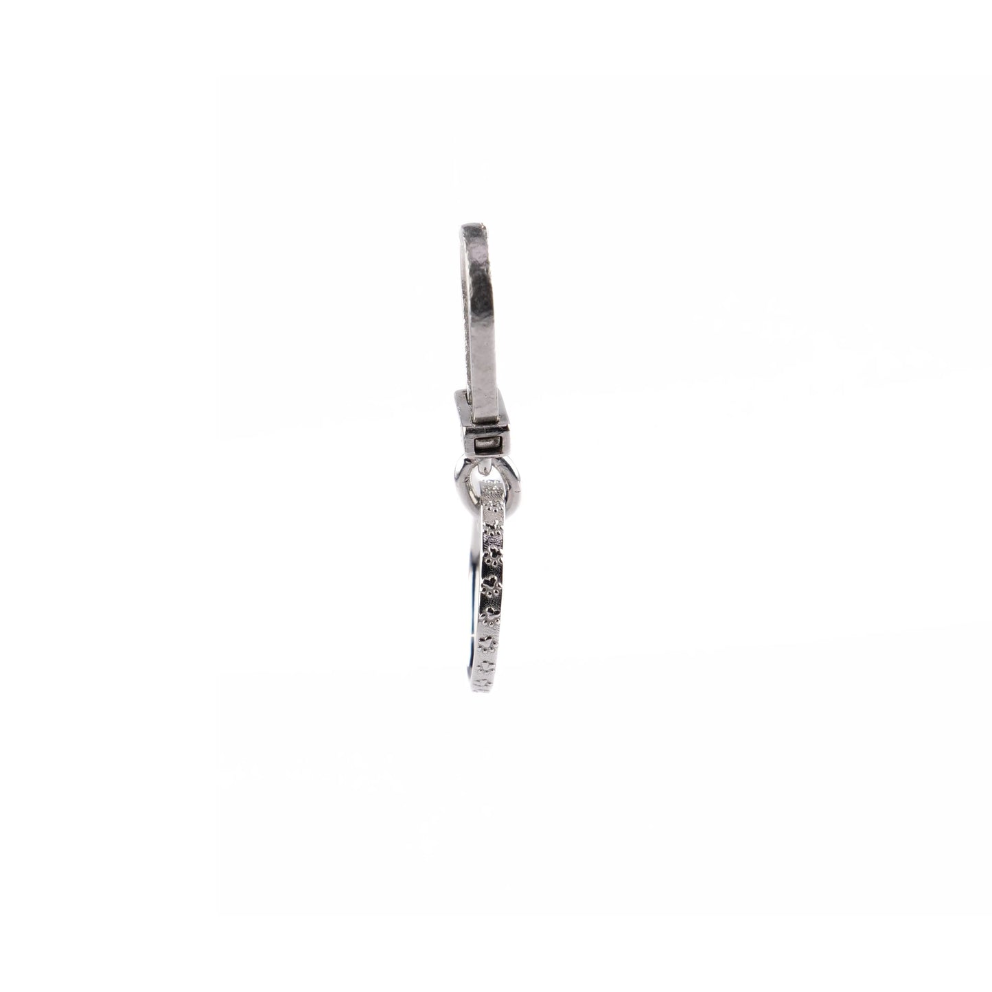 Targhetta per gatti in argento forma cerchio